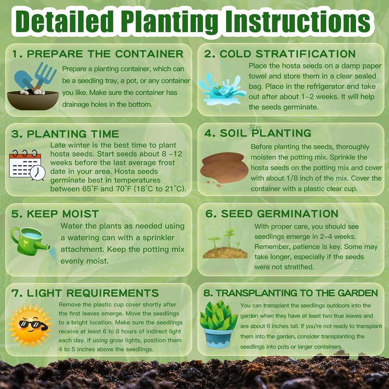 🔥Išpardavimas – 49 % nuolaida🔥🌱Mišrių rožių sėklos – be GMO, lengvai auginamos, gražios daugiametės gėlės-LT