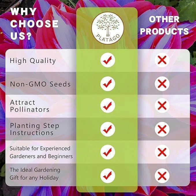 Semillas de la planta Rainbow Haze-ES