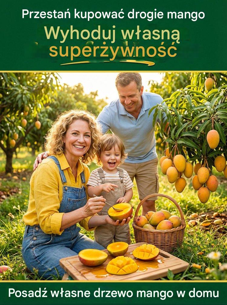 [Resultados de 1 a 2 años] Plántulas de mango enanas injertadas sin OMG-ES