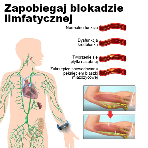 🎁 Ultrazvočni pasovi za izgubo maščobe in razstrupljanje-SI