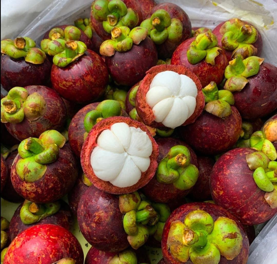 Mangostán-ES