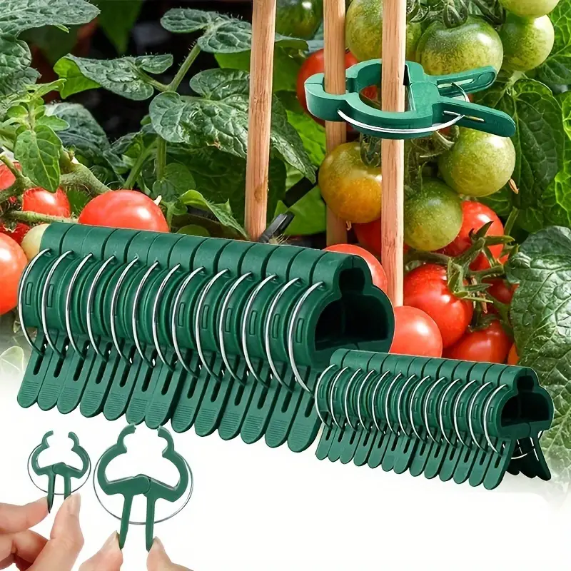 🍇【200KS】🌱Pružinové svorky na zaistenie konárov viniča, ako je hrozno, uhorky, paradajky atď.-SK