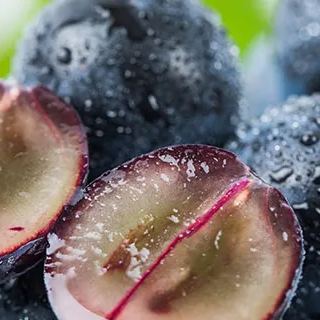 Semena grozdja Jabuticaba-SI