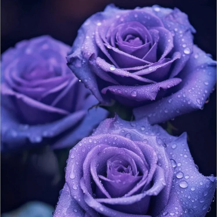 💙SEMILLAS DE ROSA ENCANTADORA AZUL✨-ES