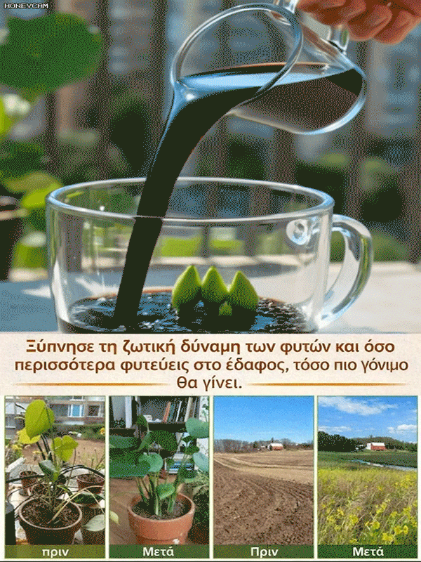 Ενεργοποιητής θρεπτικών συστατικών εδάφους-GR