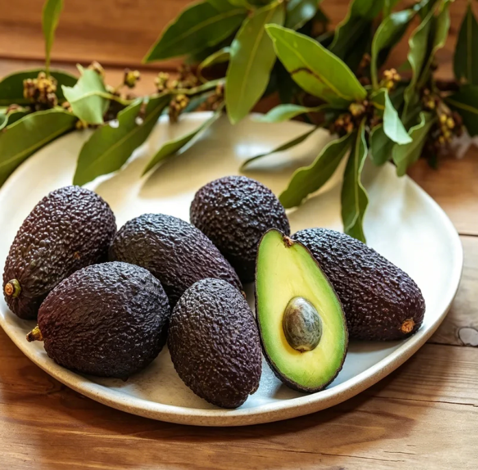 🍃 Pärandmõisa sari: 13 valitud puuviljaseemne komplekt (GMO-vaba) 🌳 – Enimmüüdud toode-EE