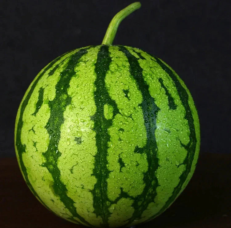🍉Ankstyvo pavasario raudonasis nefritas – saldus arbūzas, kuris pradžiugins visą šeimą-LT
