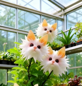 ¡Plantas mágicas! La deslumbrante serie "Ojo de Gato"✨-ES