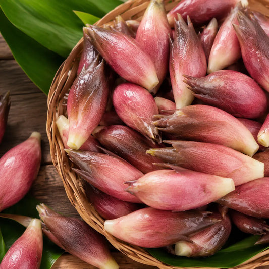 🌱 Semillas de Myogi | Fáciles de cultivar • Sabor intenso • Deliciosas-ES