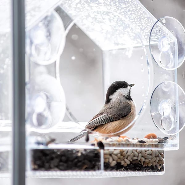 🐦👍👍👍 Ταΐστρα παραθύρων 🤩-GR