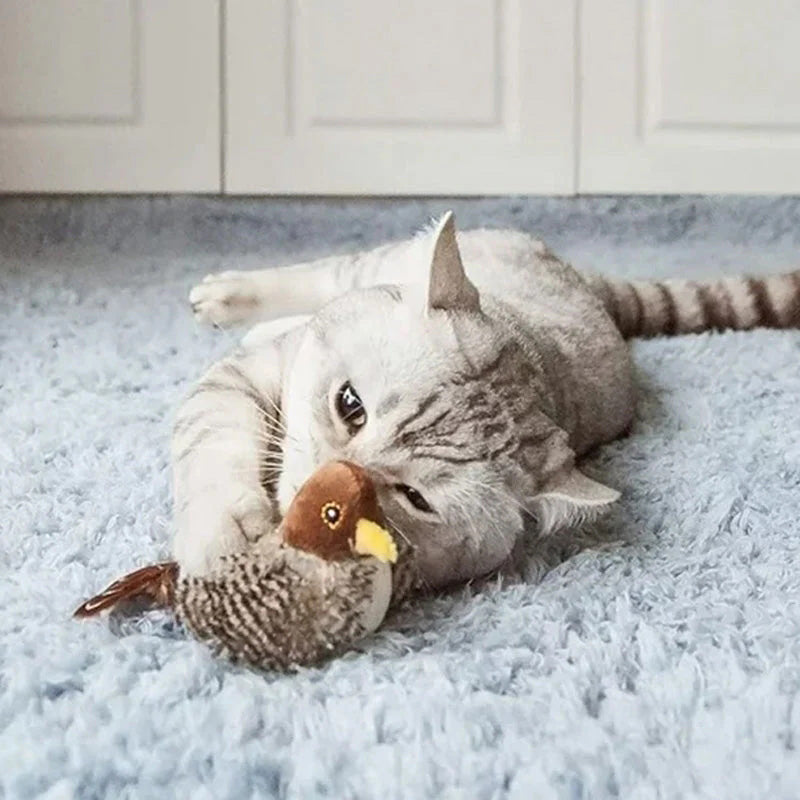 🐱 ΕΝΗΜΕΡΩΜΕΝΟ ΠΑΙΧΝΙΔΙ ΓΑΤΑΣ ΠΟΥ ΜΑΓΟΥΡΕΥΕΙ🐦-GR