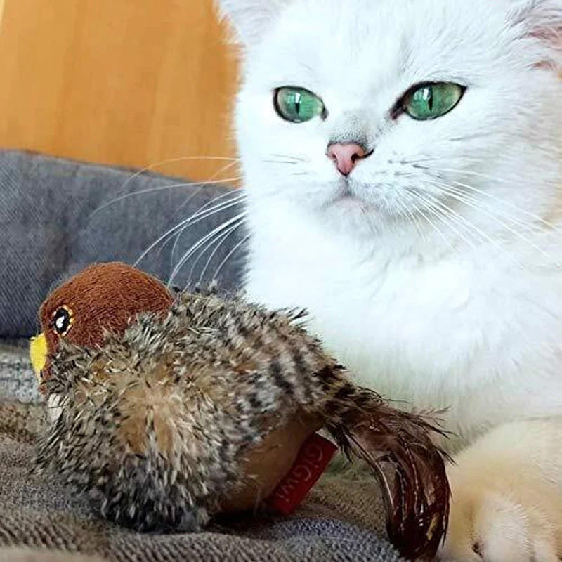 🐱 ΕΝΗΜΕΡΩΜΕΝΟ ΠΑΙΧΝΙΔΙ ΓΑΤΑΣ ΠΟΥ ΜΑΓΟΥΡΕΥΕΙ🐦-GR