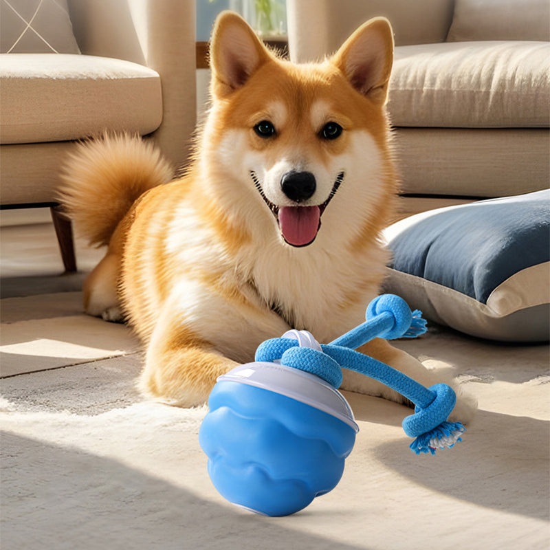 🐶Διαδραστική ηλεκτρονική μπάλα ηρεμίας για κατοικίδια-GR
