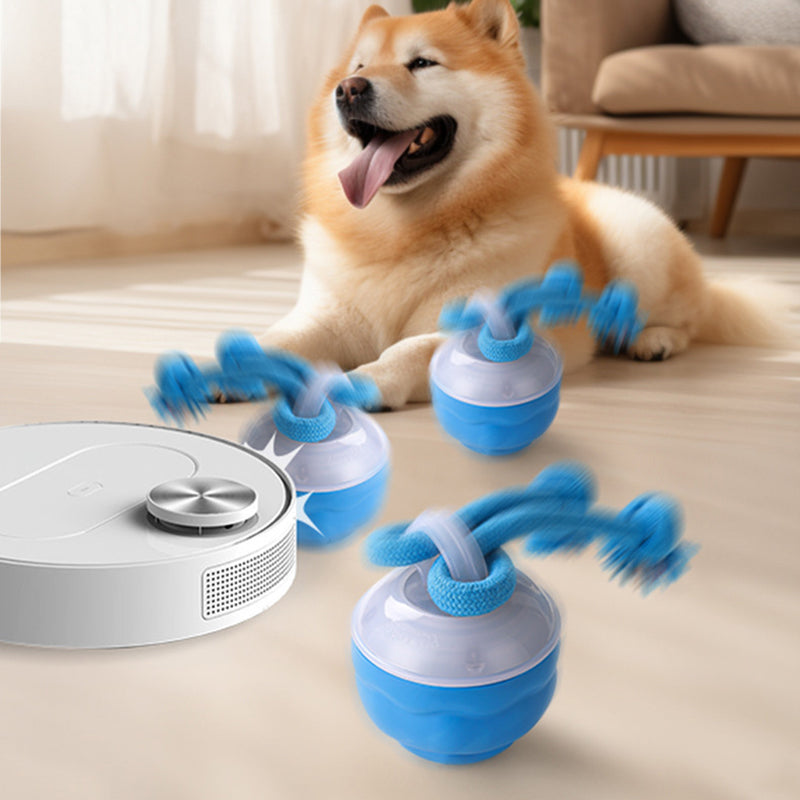 🐶Διαδραστική ηλεκτρονική μπάλα ηρεμίας για κατοικίδια-GR