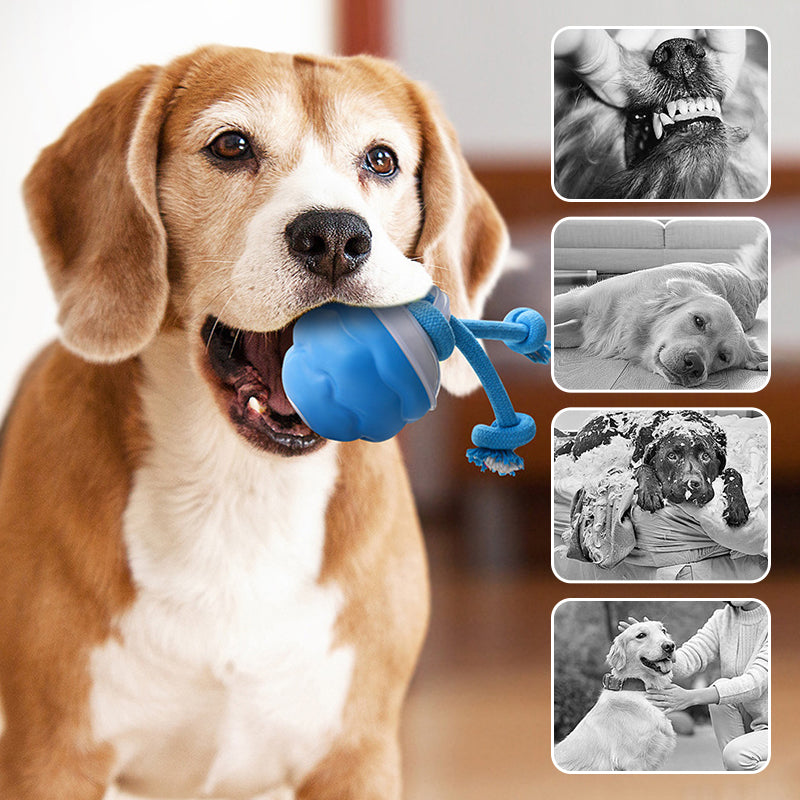 🐶Διαδραστική ηλεκτρονική μπάλα ηρεμίας για κατοικίδια-GR