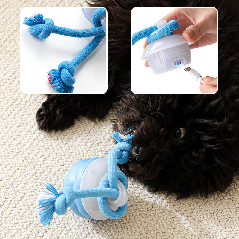 🐶Διαδραστική ηλεκτρονική μπάλα ηρεμίας για κατοικίδια-GR