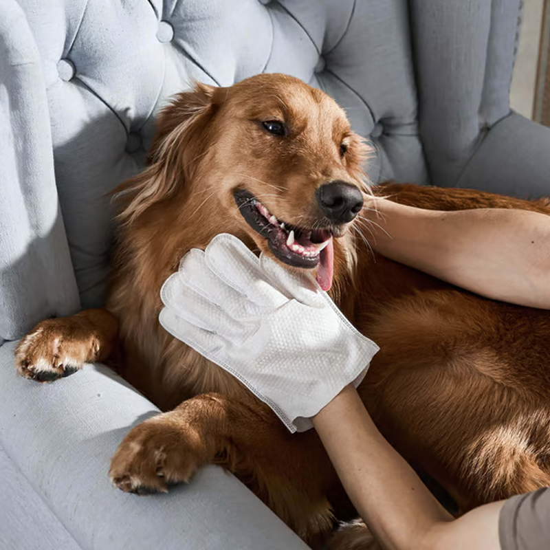 🐶 Γάντια αποσμητικού καθαρισμού κατοικίδιων ζώων χωρίς ξέβγαλμα-GR